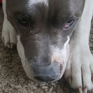 Meet your Posher, Nacita